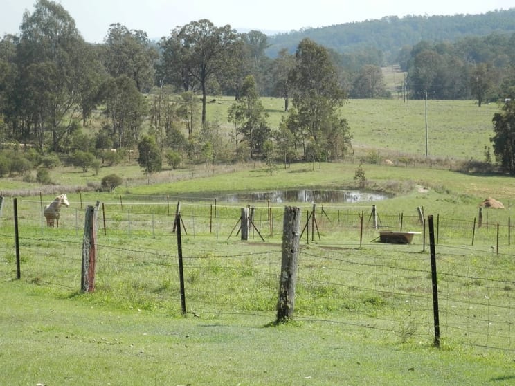 Tabulam NSW 2469 - Image 3