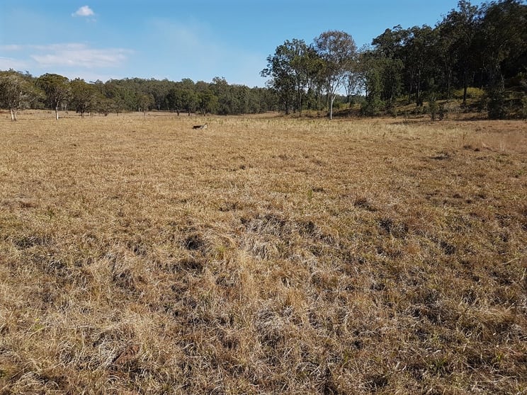 Click to view all images 1130 Dyraaba Road Dyraaba NSW 2470 - Image 1