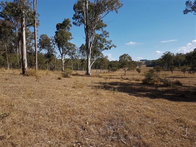 Click to view all images 1130 Dyraaba Road Dyraaba NSW 2470 - Image 3
