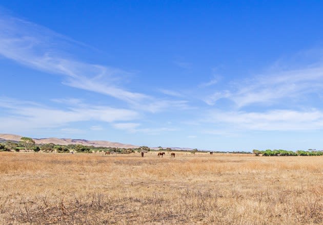272 Plains Road Sellicks Hill SA 5174 - Image 3