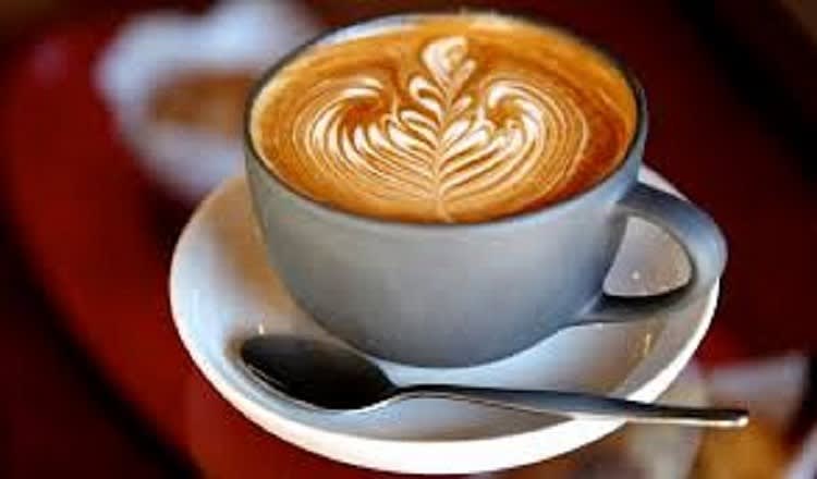 Food, Beverage & Hospitality  business for sale in Lane Cove - Image 1