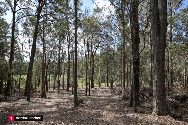 Click to view all images Lot 1 Tathra-Bermagui Road Murrah NSW 2546 - Image 3