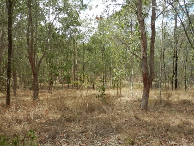 Click to view all images 62 Ewingar Ridge Rd Ewingar NSW 2469 - Image 2