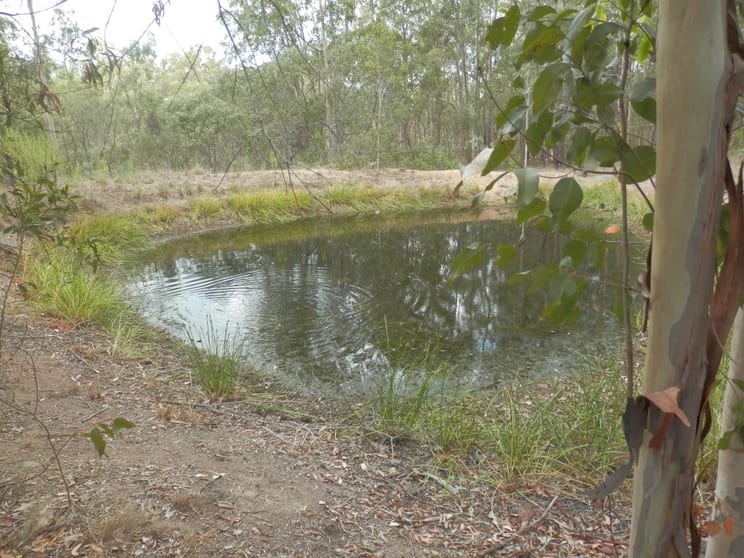 Click to view all images 62 Ewingar Ridge Rd Ewingar NSW 2469 - Image 3