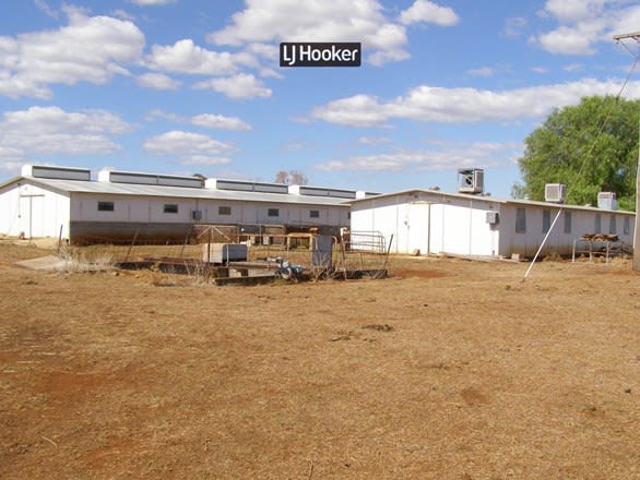 Click to view all images 500 Havilah Park Road Inverell NSW 2360 - Image 1