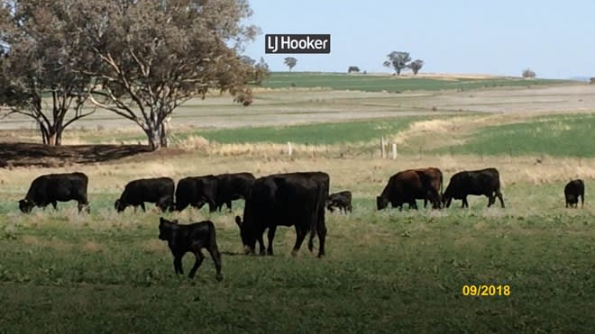 Click to view all images 500 Havilah Park Road Inverell NSW 2360 - Image 3