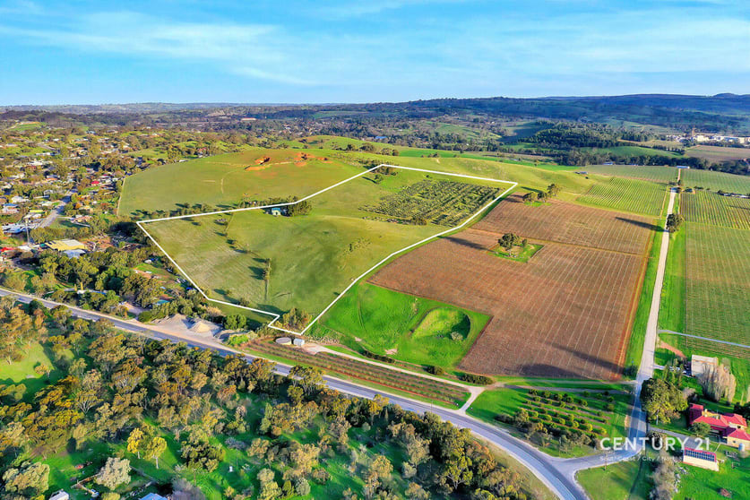 Lot 404 Richard Street Penrice SA 5353 - Image 1