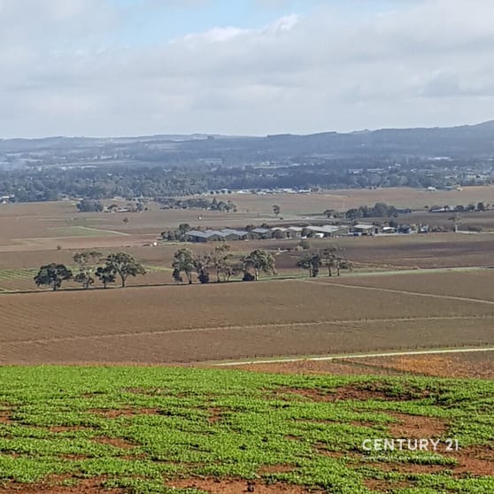 Lot 404 Richard Street Penrice SA 5353 - Image 3