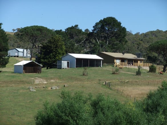 1124 Gullies Road Moonbah NSW 2627 - Image 2