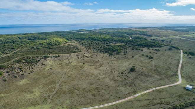 Click to view all images 00 Bungaree Road Bungaree TAS 7256 - Image 3