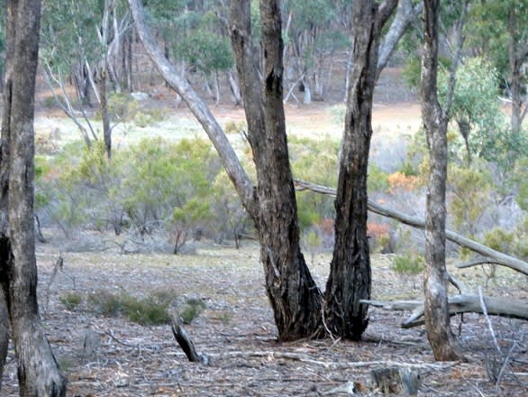 Click to view all images CA 34A Wychitella Road Wedderburn VIC 3518 - Image 3