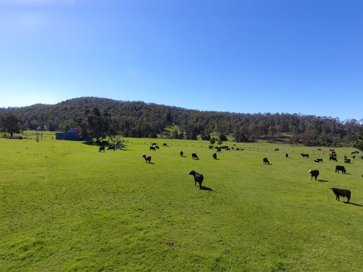 Click to view all images 484 Pigman Rd Dyraaba NSW 2470 - Image 1