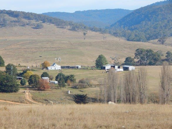 392 Tredegar Rd Bombala NSW 2632 - Image 1