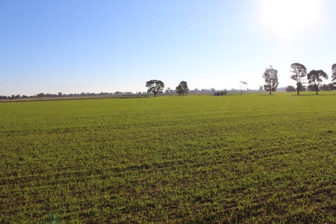 1660 Pogue Road Tatura VIC 3616 - Image 1