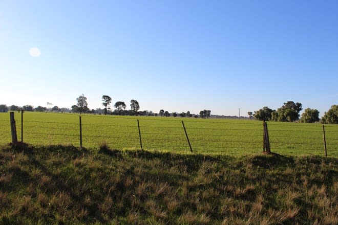 1660 Pogue Road Tatura VIC 3616 - Image 2