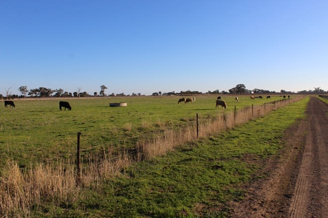 1660 Pogue Road Tatura VIC 3616 - Image 3