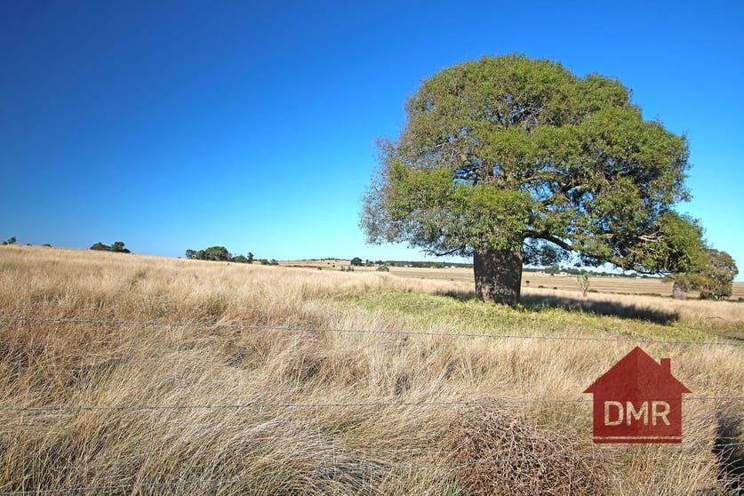 Click to view all images 2298 Proston Boondooma Road Proston QLD 4613 - Image 3