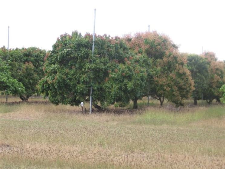 Lots 26 & 27 Bartlett Road Horseshoe Lagoon QLD 4809 - Image 1