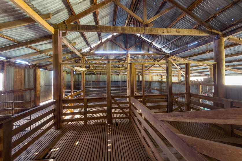 104 Newton Road Mullengandra NSW 2644 - Image 3
