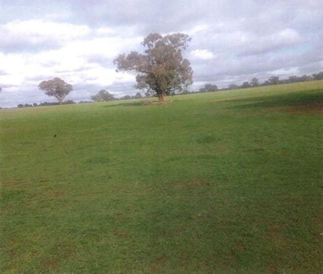 Cnr Twenty Four Lane and Hillside Road Moama NSW 2731 - Image 2