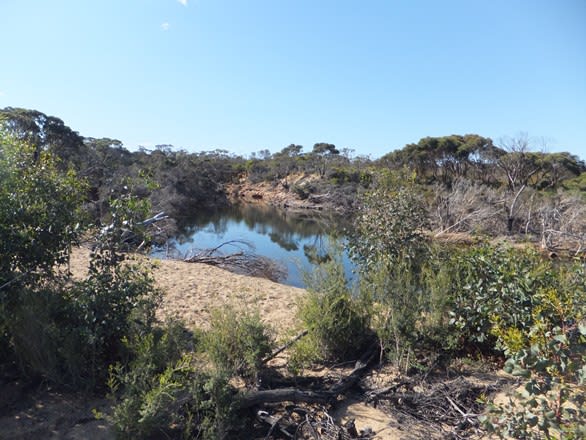 Lot 101 Daniels Road Hopetoun WA 6348 - Image 1