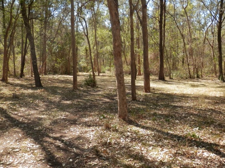 65 Bellbird Rd Drake NSW 2469 - Image 2