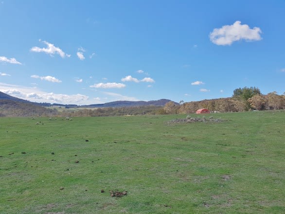 Click to view all images 111 Hereford Hall Road, Hereford Hall Braidwood NSW 2622 - Image 3