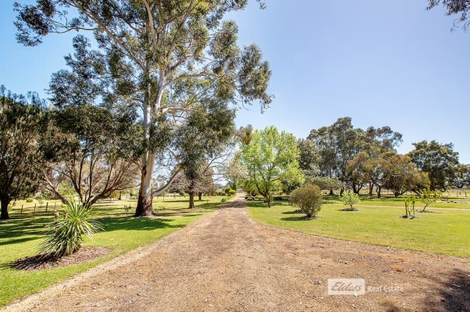Click to view all images 6310 Clay Wells Road Short SA 5279 - Image 3