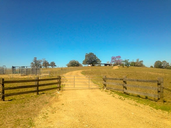 204 Khatabundah Road Wingham NSW 2429 - Image 2