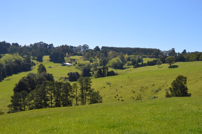 26 SHEERS ROAD Mirboo North VIC 3871 - Image 3