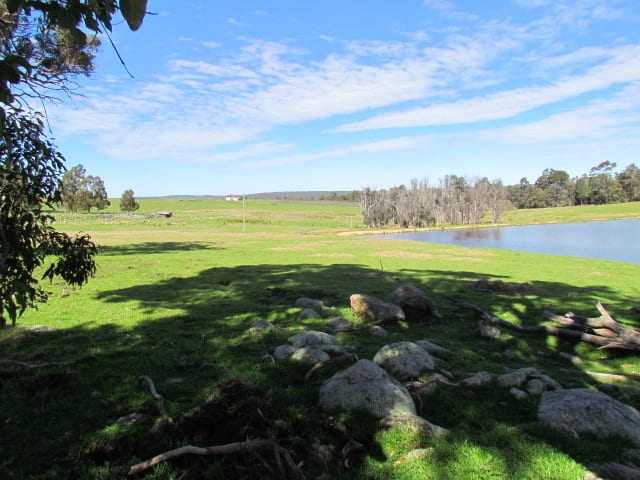 164 Worsley Back Road Allanson WA 6225 - Image 3
