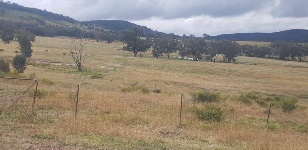 Click to view all images 655 Monaghans Rd Manildra NSW 2865 - Image 2