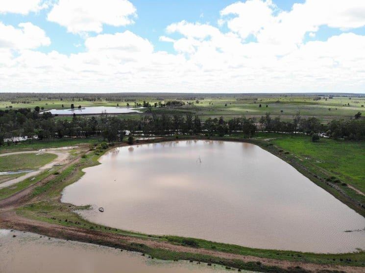 2242 ACRES GRAZING & IRRIGATION OPPORTUNITY Dulacca QLD 4425 - Image 1
