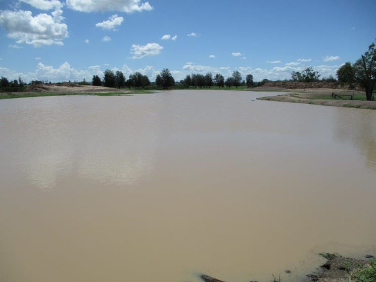 3952 ACRES FARMING AND CATTLE Tara QLD 4421 - Image 3