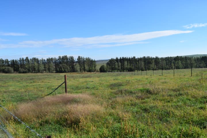 7 Kirkton Road Yass NSW 2582 - Image 2