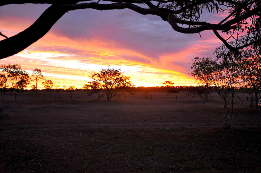Click to view all images Lot 2 Hoppy Road Alton Downs QLD 4702 - Image 3