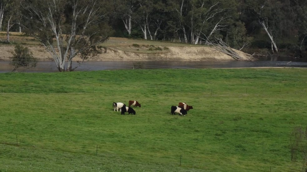 5455 River Road Talmalmo NSW 2640 - Image 2