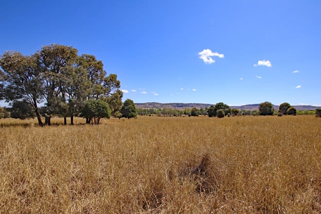 Schloss Road Thangool QLD 4716 - Image 1