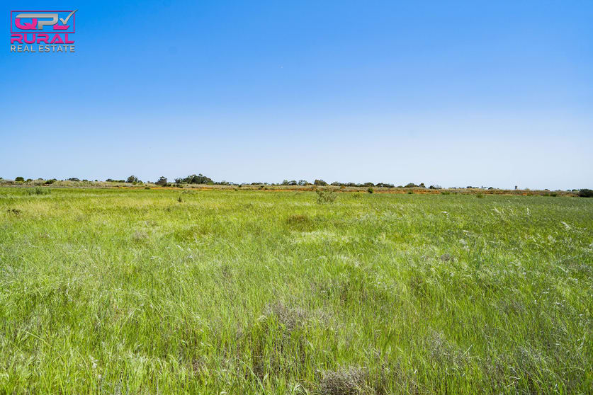 Click to view all images 221 Canal Road Leeton NSW 2705 - Image 2