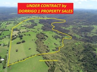 Click to view all images 308-478 Paddys Plains Road North Dorrigo NSW 2453 - Image 1