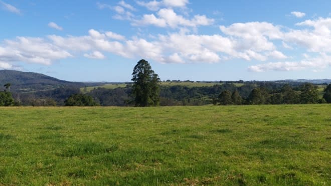 Click to view all images 308-478 Paddys Plains Road North Dorrigo NSW 2453 - Image 3