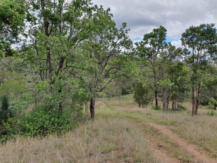 HARPER ROAD Blackbutt QLD 4314 - Image 1