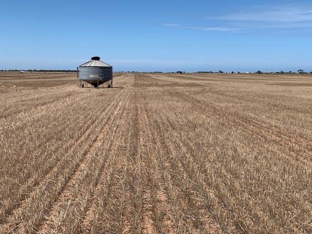 Sec 65 & 66 Mallala/ Long Plains Roads Dublin SA 5501 - Image 1