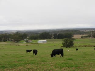 397 Meanwood Road Kronkup WA 6330 - Image 1
