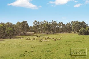 Click to view all images CA21 Axedale-Toolleen Road Toolleen VIC 3551 - Image 1