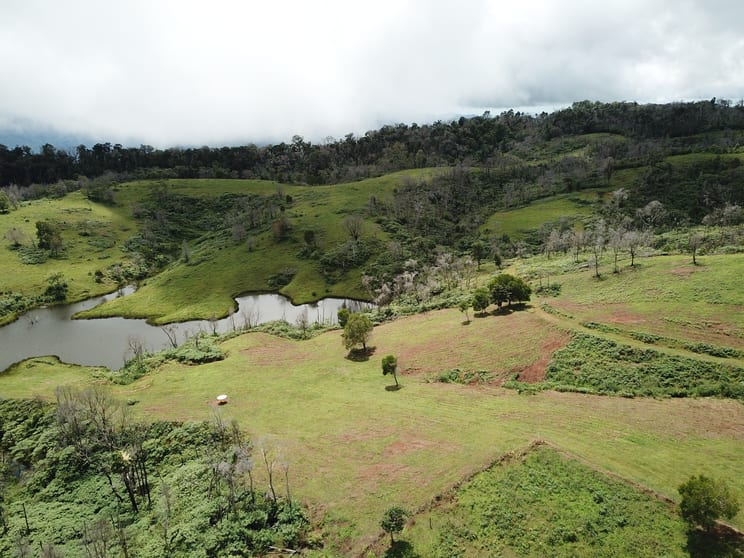 Click to view all images 189 Cathay Creek Road Crediton QLD 4757 - Image 2