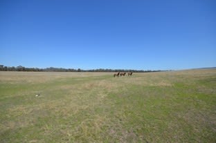 Click to view all images 463 Avoca-Greenhill Creek Road Amphitheatre VIC 3468 - Image 3
