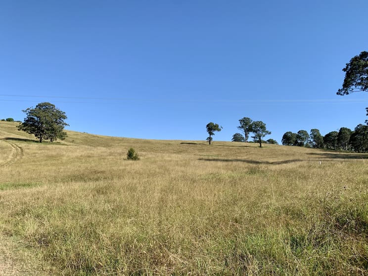 Click to view all images 234 Marshdale Road, Marshdale via Dungog NSW 2420 - Image 1