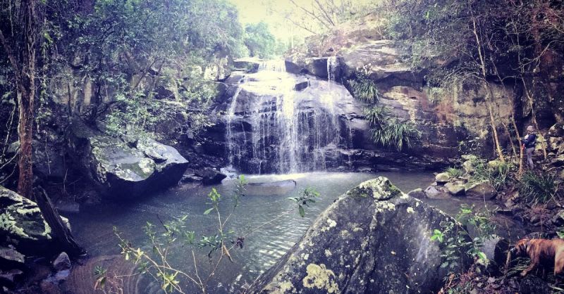 Bandon Grove NSW 2420 - Image 2