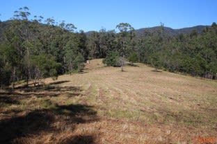 Click to view all images 1380 Caparra Road Caparra NSW 2429 - Image 2